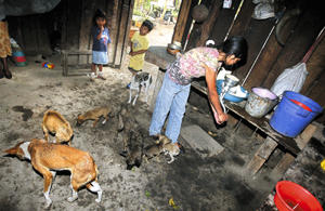 Causas Que Provocan La Pobreza En Honduras