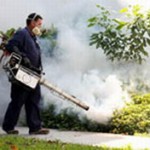 dengue-fumigaciones_6