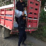 La policía tica confiscó el cargamento de frijoles procedente de Nicaragua. (Foto: La Nación).