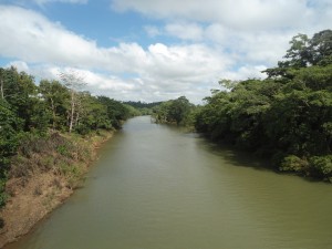 Una vista del río Punta Gorda.