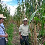 Don Lucio Siquinajay, al centro, muestra orgulloso la milpa obtenida en medio de la gran sequía que afecta a Centroamérica.