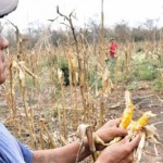 Guatemala es el país más afectado por la sequía y le sigue