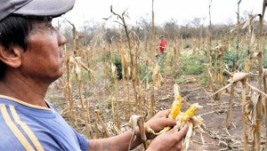 Guatemala es el país más afectado por la sequía y le sigue 