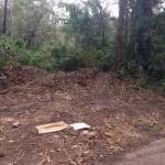 Sitio en Guanacaste donde encontraron dos de los tres cadáveres.