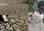 Terribles sequías en unos países y pavorosas inundaciones en otros. Así son los efectos de "El Niño".