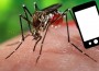 mosquito smart