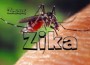 zika2