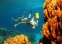 "Corales de fuego" en la reserva de la biósfera Seaflower, gran parte de la cual pertenece a Nicaragua.