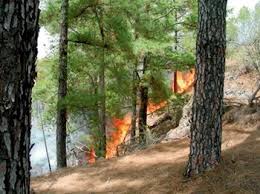 incendios forestales