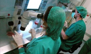 médicos investigadores