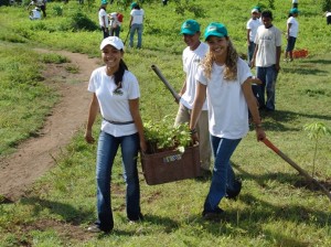 reforestacion