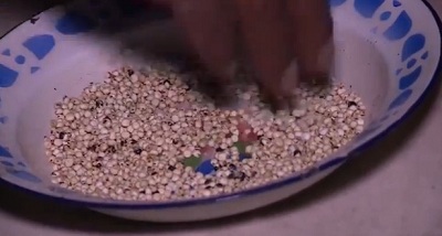 En algunos lugares de Nicaragua como Madriz la gente se come el alimento de sus cerdos y gallinas, pero el PMA asegura que no hay hambre.