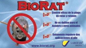 Biorat