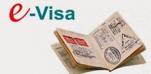 e-visa
